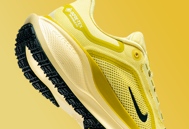 Nike Pegasus 41 gore-tex RunLab