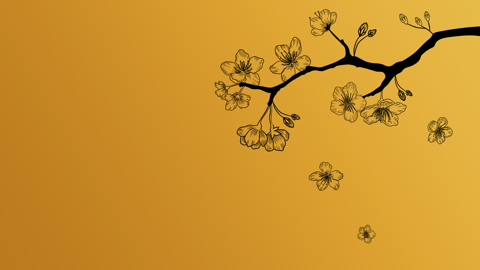 Endorphin Speed 5 Tokyo Marathon Collection RunLab